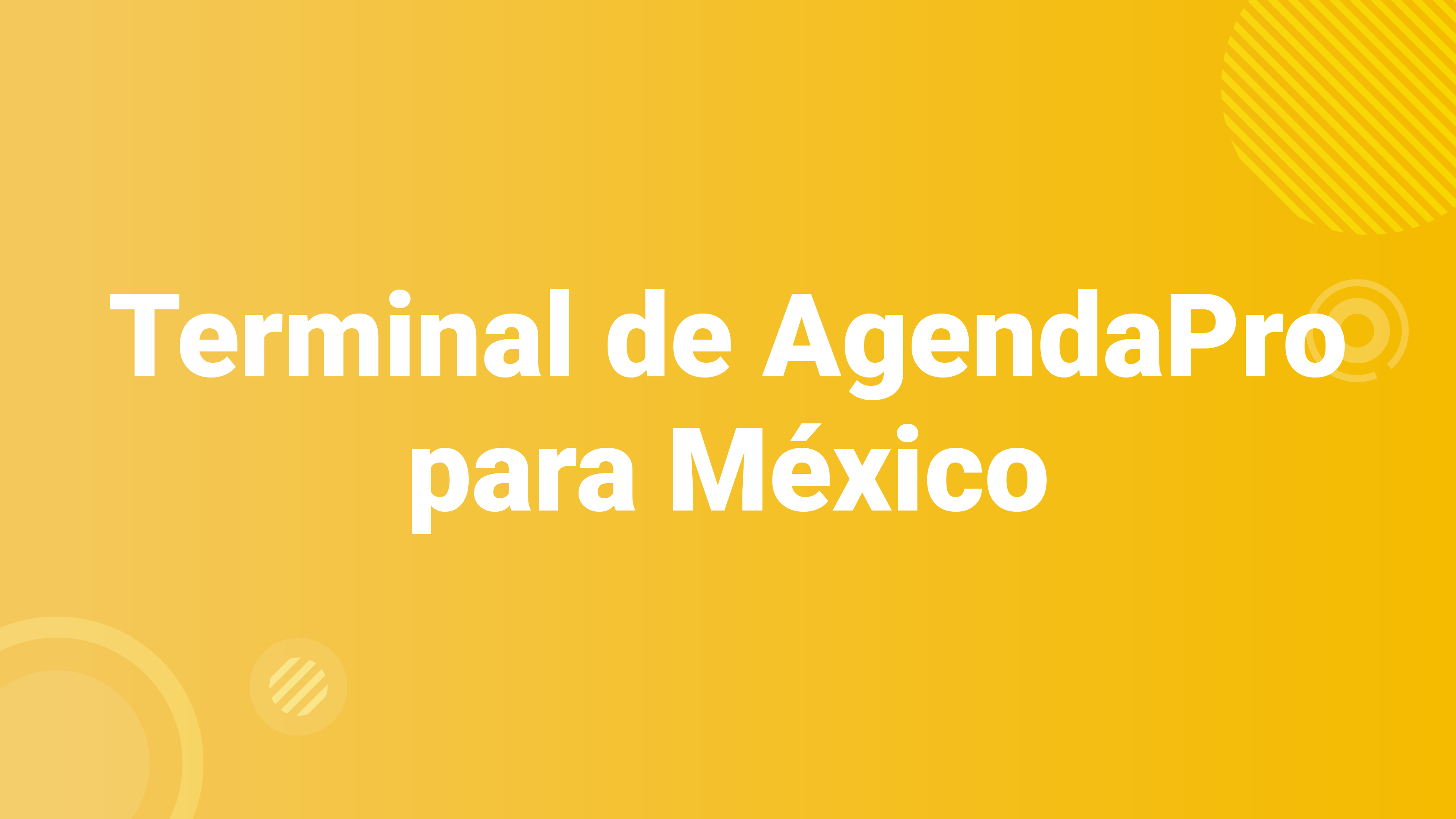 Terminal AgendaPro MX